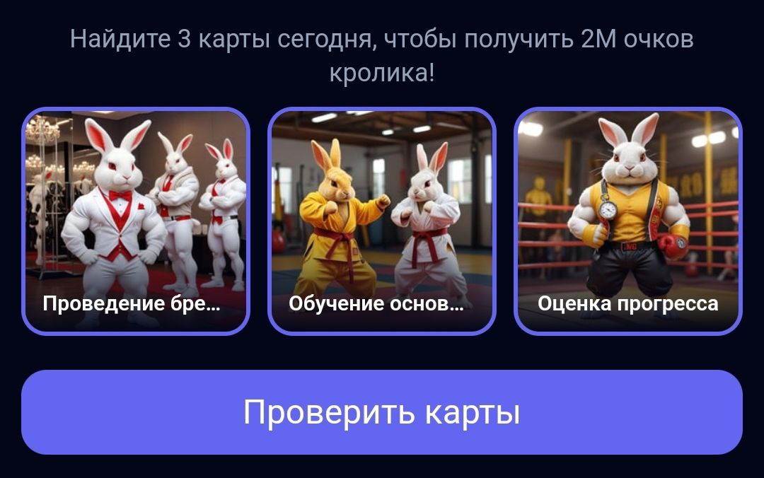 Комбо в Rocky Rabbit на 8.08.2024 г.